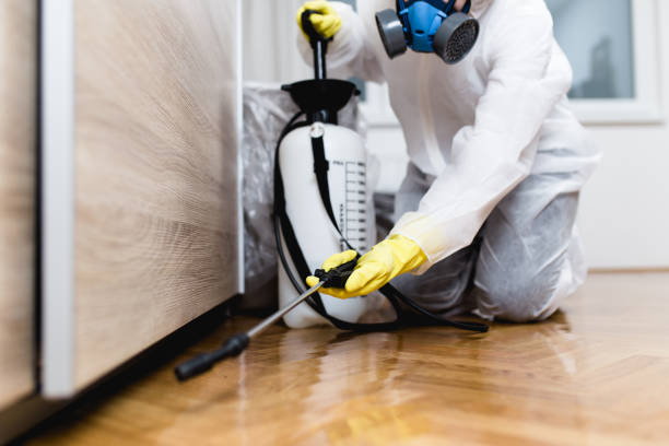 Best Wasp Removal Services  in Green Oaks, IL