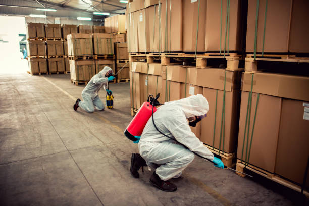 Best Rat Extermination Near Me  in Green Oaks, IL