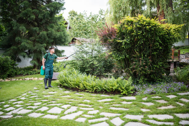 Best Rodent Control Near Me  in Green Oaks, IL