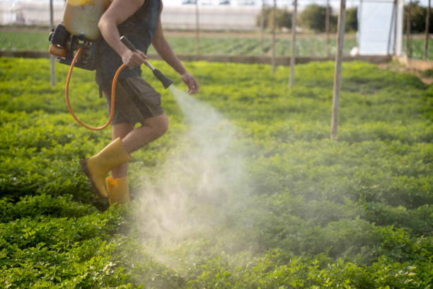 Best Local Pest Control Services  in Green Oaks, IL