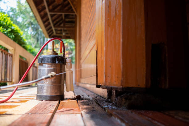Best Exterminator Services  in Green Oaks, IL