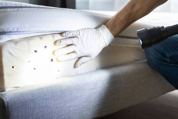 Best Termite Control Services  in Green Oaks, IL