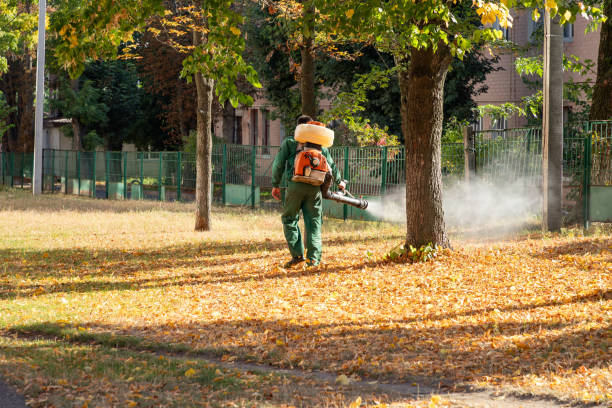 Trusted Green Oaks, IL Pest Control Experts