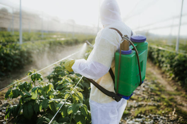 Best Pest Control for Homes  in Green Oaks, IL